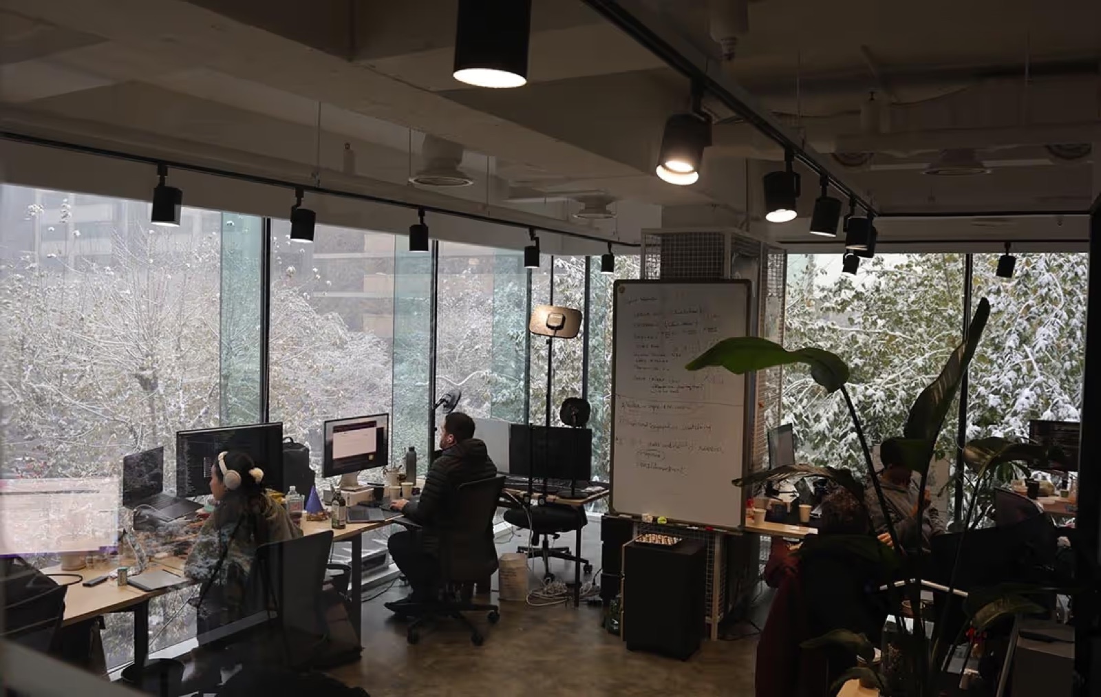 The Arrows team at work in a shared office space